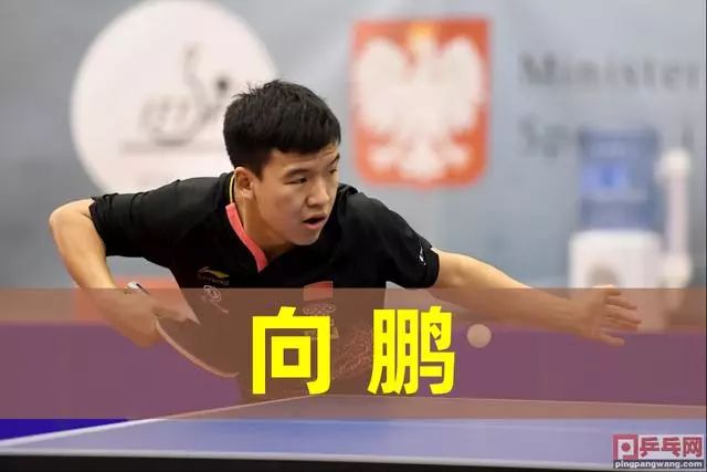 不仅是一名