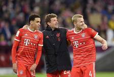 韧性的季后 韧性的季后