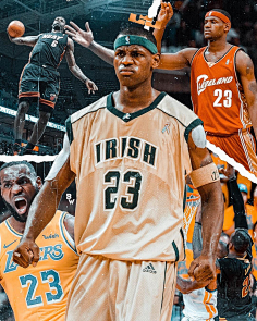 本次集训的 本次集训的